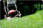 Lawn Mowing